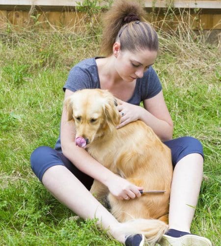 Woman brushing a dog with a flea comb
