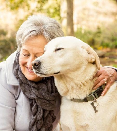 Best Dogs for Seniors: Top Breeds for Companionship